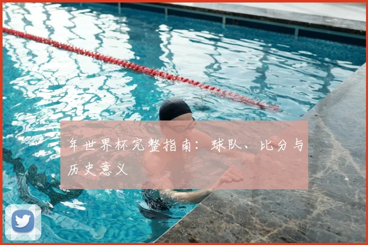 年世界杯完整指南：球队、比分与历史意义