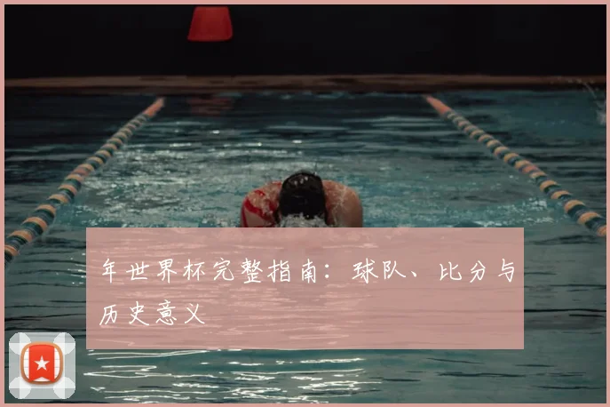 年世界杯完整指南：球队、比分与历史意义